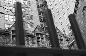 copyright Angela Taormino licensed to Geoffrey Steinberg, Psy.D.